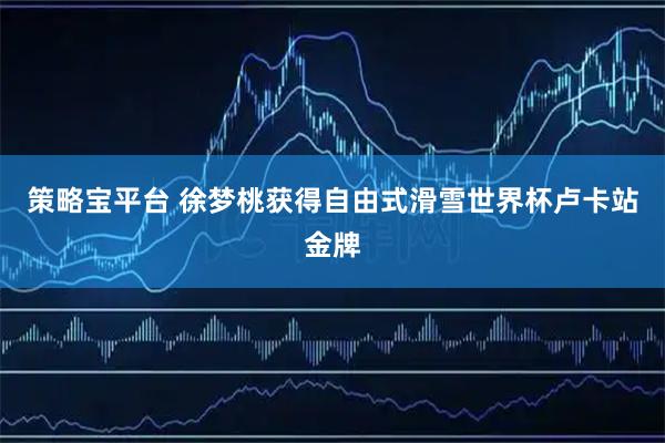 策略宝平台 徐梦桃获得自由式滑雪世界杯卢卡站金牌