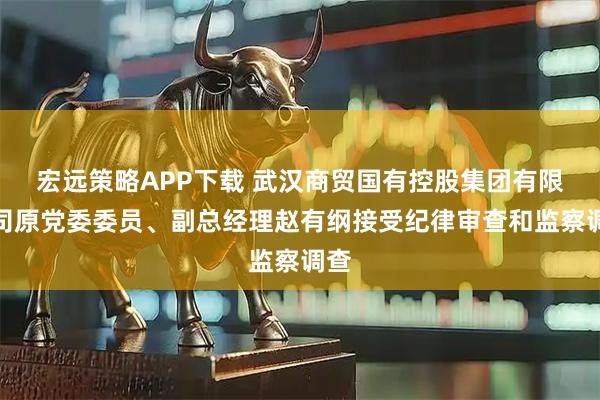 宏远策略APP下载 武汉商贸国有控股集团有限公司原党委委员、副总经理赵有纲接受纪律审查和监察调查