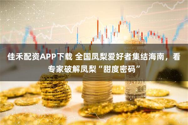 佳禾配资APP下载 全国凤梨爱好者集结海南，看专家破解凤梨“甜度密码”